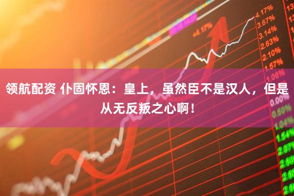 领航配资 仆固怀恩：皇上，虽然臣不是汉人，但是从无反叛之心啊！